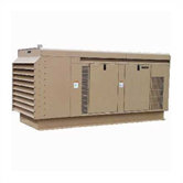 Packaged Standby Series 60 Kilowatt 1-Phase Double Fuel Generator