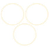 Hvlp Canister Seal Kit