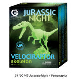 Jurassic Night Velociraptor Skeleton