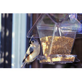 Cafe Window Feeder in Clear