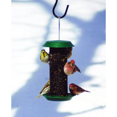 Mini Magnum Sunflower Feeder in Green