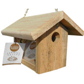 Bluebird Feeder