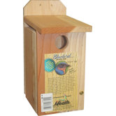 Bluebird Bird House