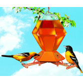 Deluxe Oriole Feeder