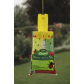 Japanese Beetle Traps