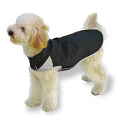 Spring Slicker Dog Coat in Black