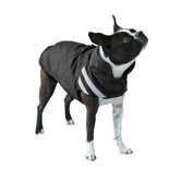 Winter Dog Parka in Black