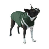 Winter Dog Parka in Hunter Green