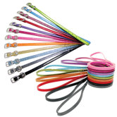 Sparkle Collar and Lead Set