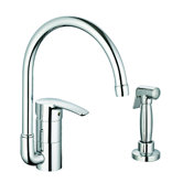 Eurostyle Single Handle Single Hole Kitchen Faucet with Side Spray with Watercare