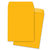 Catalog Envelopes, 20 Lbs, 9"x12", 250 per Box, Kraft