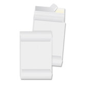 Tyvek Envelopes, Plain, 10"x13"x1-1/2", 100 Count, White