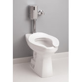Commercial Flushometer Het with Elongated Bowl