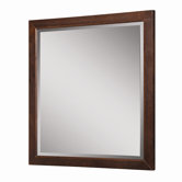 Adrianna 30" x 1.25" x 32" Framed Mirror