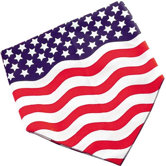 Patriotic 4th Of July/Stars and Stripes Dog Bandanna