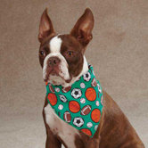 Sports Hound Dog Bandana