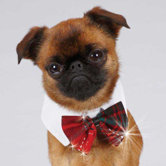 Yuletide Tartan Dog Bowtie