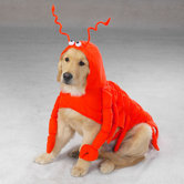 Lobster Paws Dog Costume