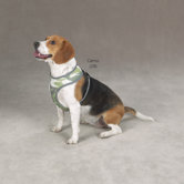 Reflective Mesh Dog Harness