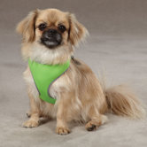 Reflective Neoprene Dog Harness