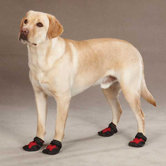 X-treme Weather Dog Boots in Red