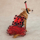 Lucky Bug Dog Costume