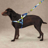 Xtrm Game Over Harness