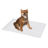 Small Reusable Puppy Pad