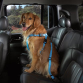 Car Harness