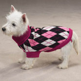 Andover Argyle Dog Sweater