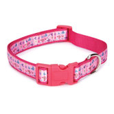 Butterfly Garden Dog Collar in Pink