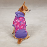 Carolina Dog Pullover Sweatshirt