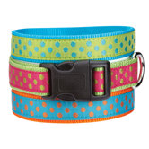 Collars & Leashes
