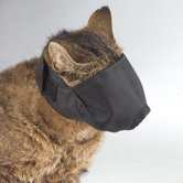 Lined Cat Muzzle
