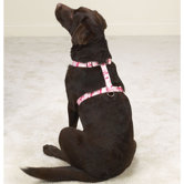 Camo Dog Harness