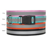 Reflective Dog Collar