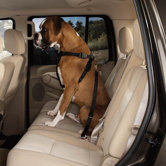 Adjustable Car Harness