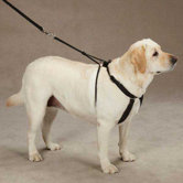 Anti Pull Harness