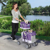 Double Decker Pet Stroller Grape