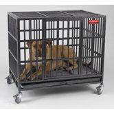 Empire Dog Crate
