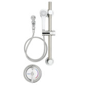Sentinel Mark II Dual Function Shower Faucet