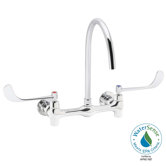 Commander Double Handle Wall Mount Thru/back Faucet