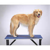 Dog Table Mat