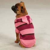 Striped Knit Dog Hoodie