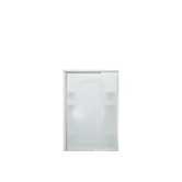 Vista Pivot II Shower Door
