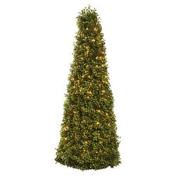 Lighted Boxwood Cone in Evergreen