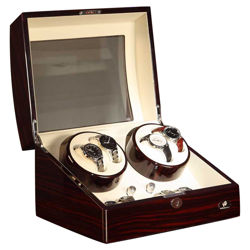 Open Box Price Anders 10 Piece Watch Box in Mahogany