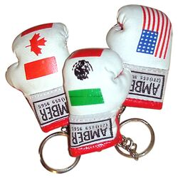Mini Flag Boxing Glove Keyring