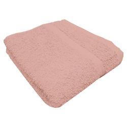 Terry Hand Towel in Rose (Set of 2)