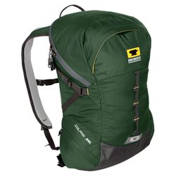 Colfax 25 Backpack in Evergreen